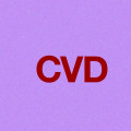 What Does CVD Stand For in Medical Terms? A Detailed Exploration of Cardiovascular Disease and Its Symptoms