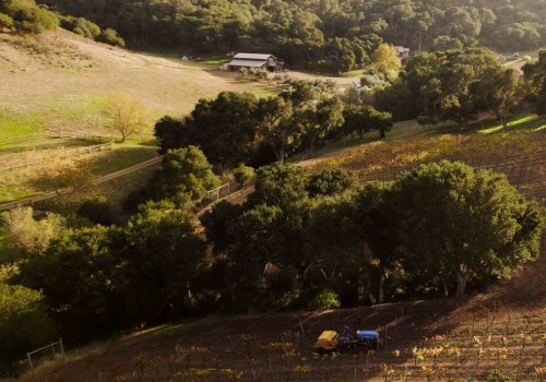 Elevate Your Well-Being With A Silent Meditation Retreat Near Los Angeles For African American Men